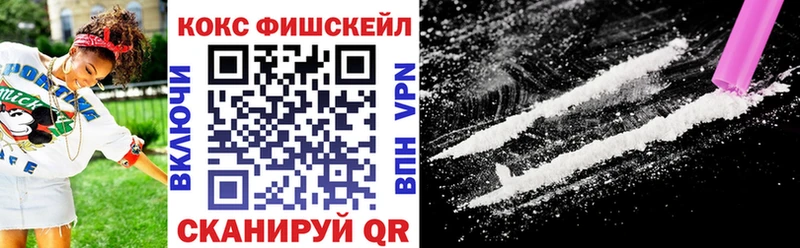 Купить закладки  Сокол  COCAIN FishScale 