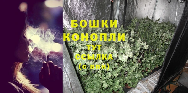 COCAINE Гусь-Хрустальный